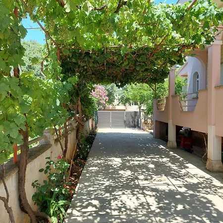 Viki Lägenhet Zadar
